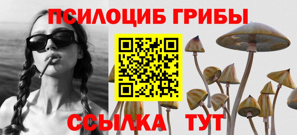 Псилоцибиновые грибы MAGIC MUSHROOMS  Псилоцибиновые грибы Psilocybe  Вход с VPN  Сызрань 